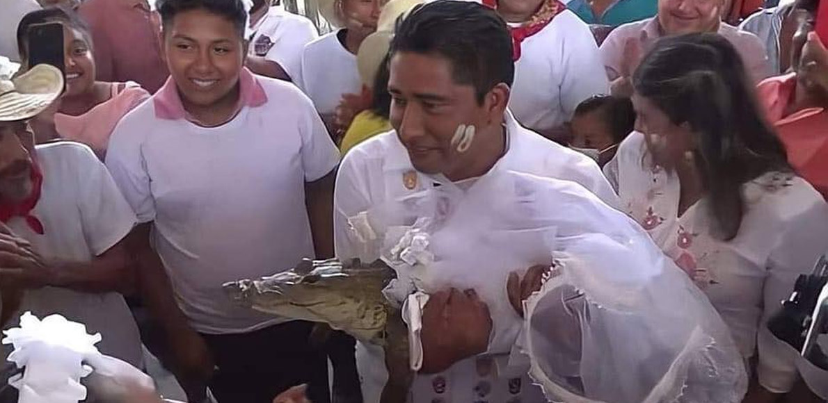 Mexican mayor San Pedro marries an alligator cover
