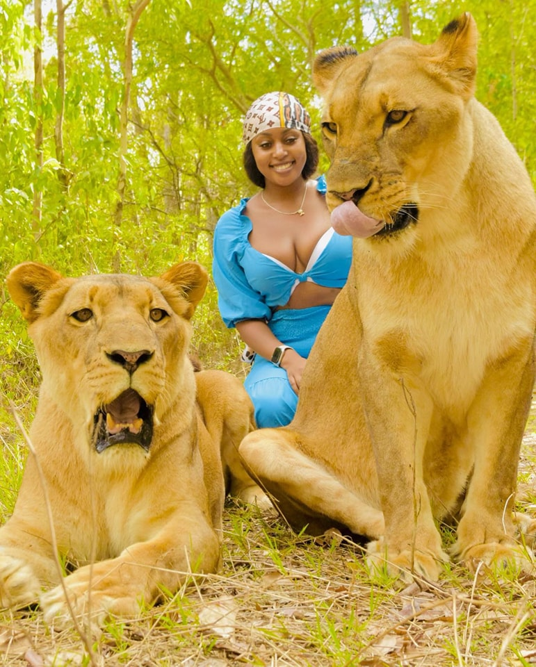 image 7 Amber Ray chilling with Lions In Mauritius