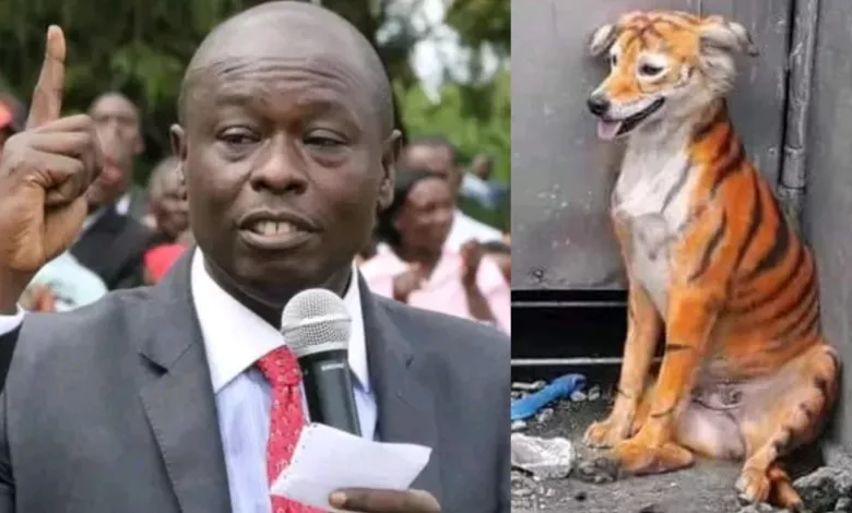 "Kujeni Kenya Muone Tiger," DP Rigathi Gachagua causes a spark on social media