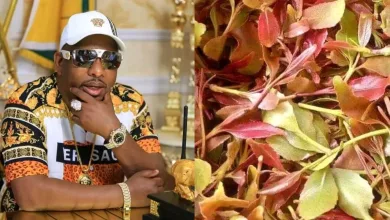 Mike Sonko gives comment after taking Jaba juice